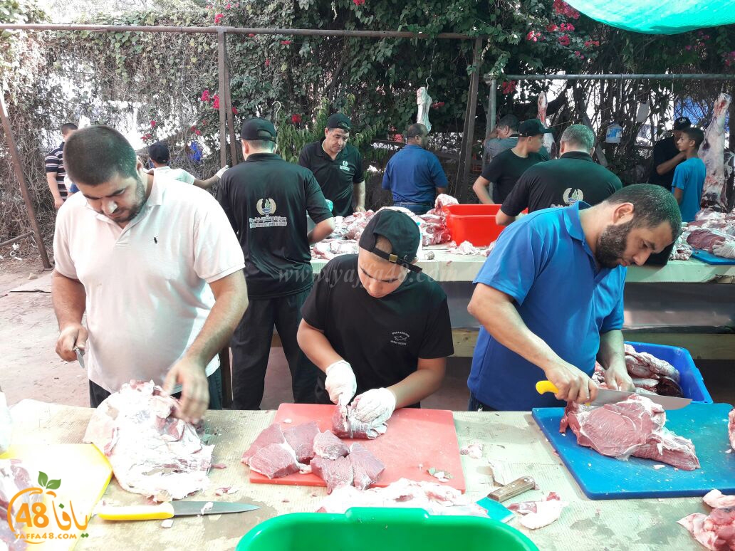 jam3o7sayasa (5).jpg